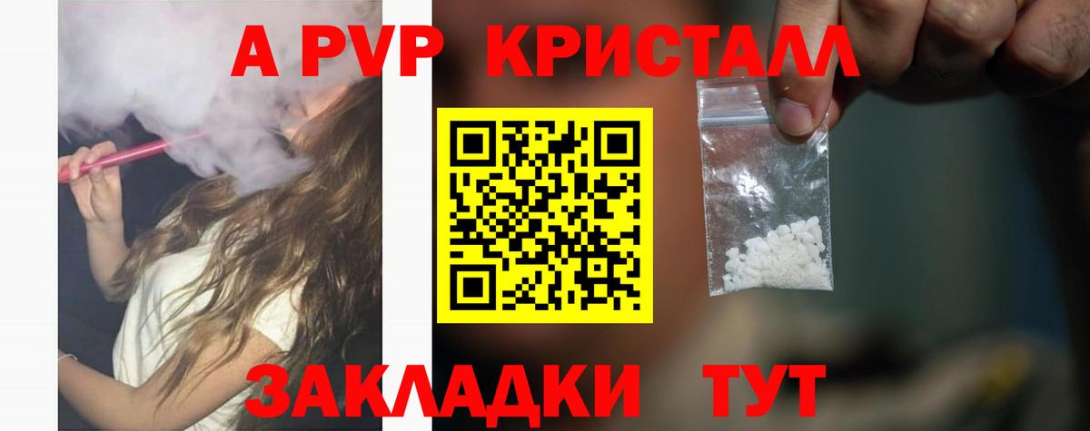 A PVP Ставрополь