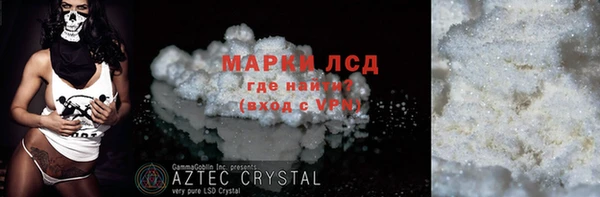 стаф Новосибирск