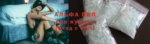 стаф Новосибирск