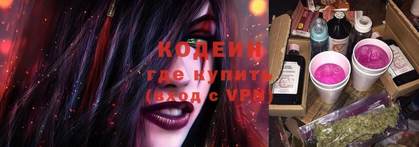 стаф Новосибирск