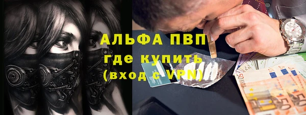 стаф Новосибирск
