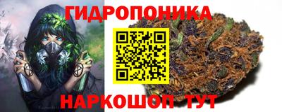 прущие грибы Краснокаменск