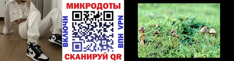 ссылка на мегу   цены   Ставрополь  Псилоцибиновые грибы Psilocybine cubensis 