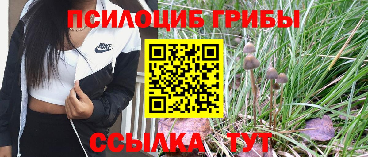 Ставрополь  Галлюциногенные грибы Psilocybine cubensis  Вход с VPN 