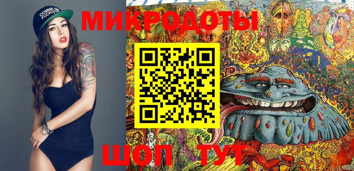 Галлюциногенные грибы Psilocybine cubensis  Ставрополь  Псилоцибиновые грибы Psilocybe 