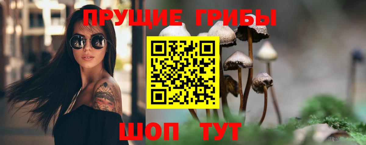 Псилоцибиновые грибы прущие грибы Ставрополь