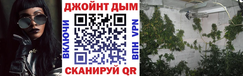 Конопля марихуана  купить  сайты  Ставрополь 